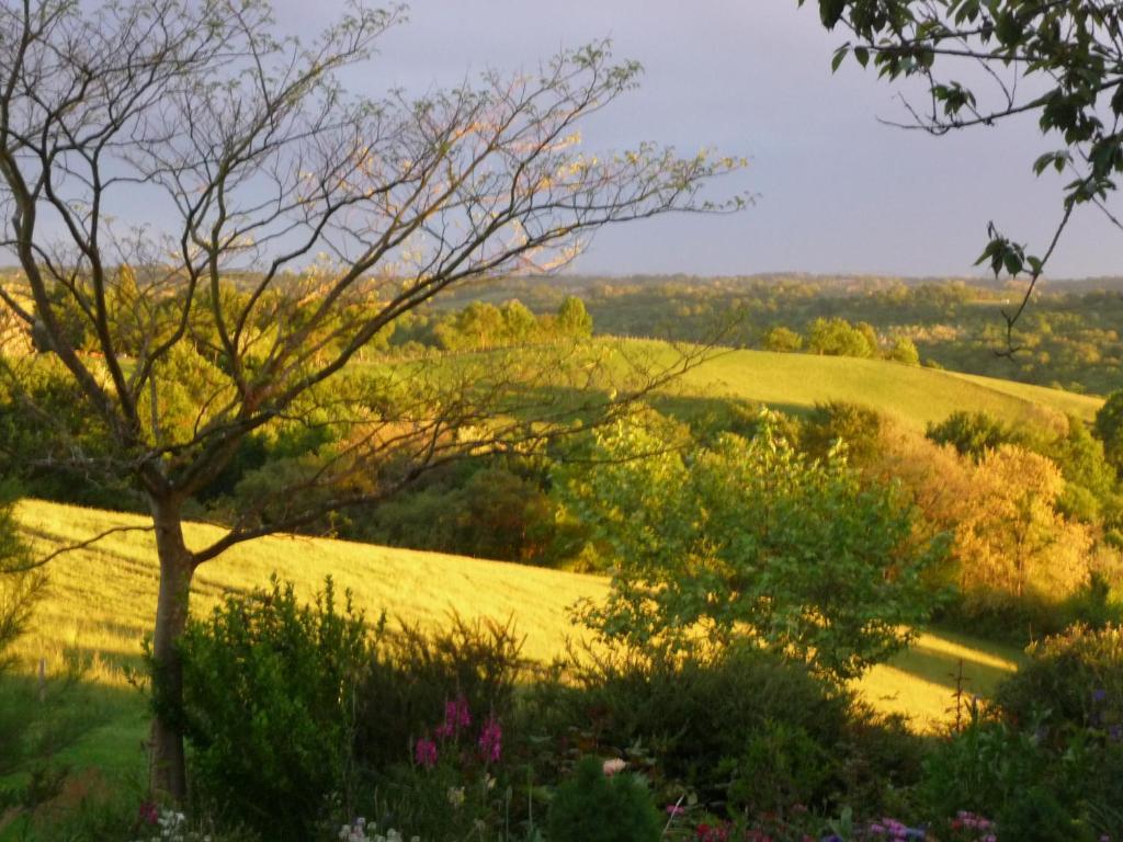 Bed and Breakfast Maison Artigouha Loubieng Екстер'єр фото