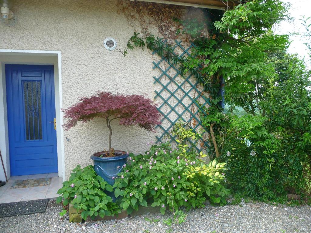 Bed and Breakfast Maison Artigouha Loubieng Екстер'єр фото